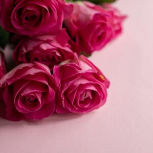 From above of gentle bouquet of fresh roses for Valentines Day on pink background