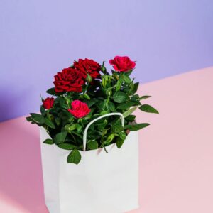 Red Roses in White Paper Bag