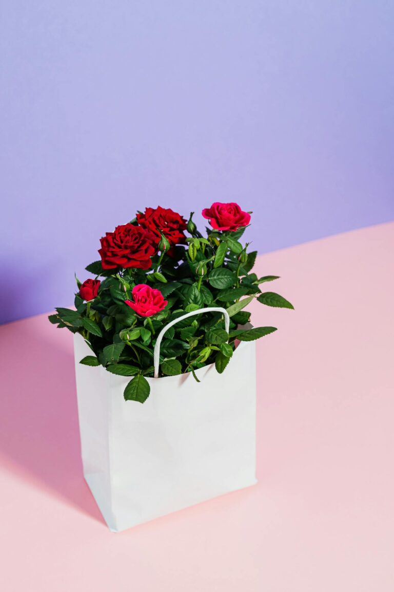 Red Roses in White Paper Bag